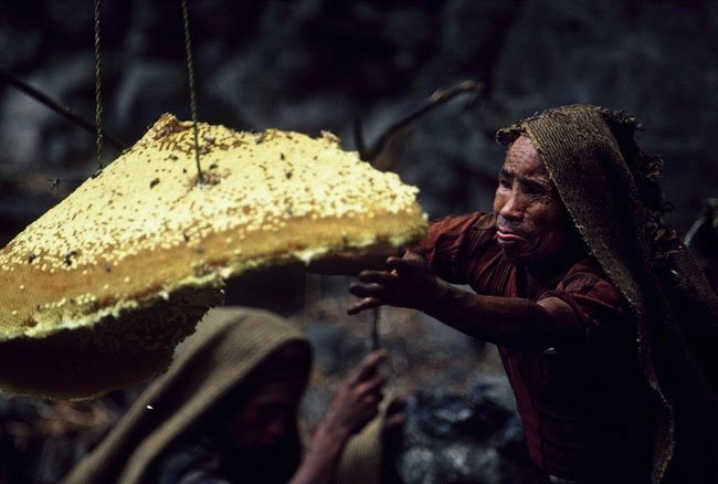 miel-nepal-gurung3