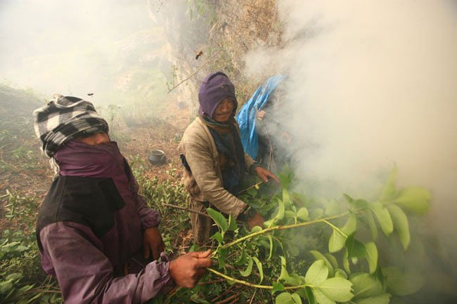 miel-nepal-gurung9