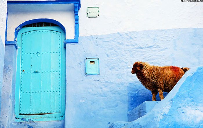 chefchaouen-azul7