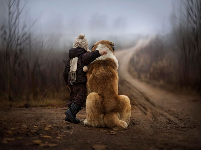 perros-grandes-bebes15