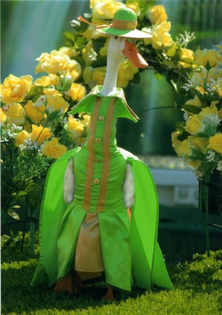 patos-elegantes3