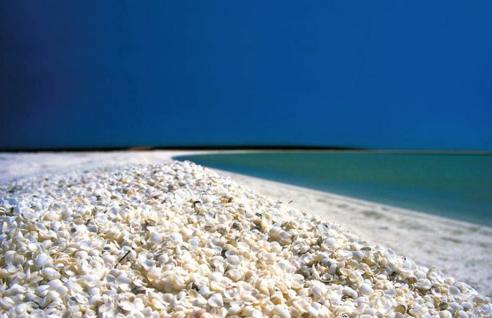 playas-conchas7