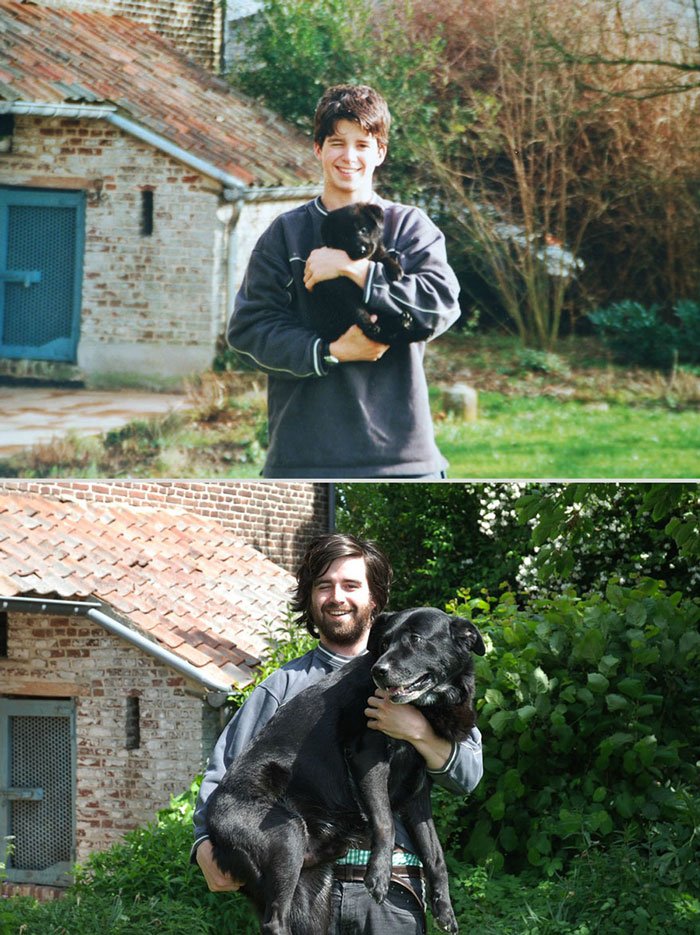 antes-despues-animales2