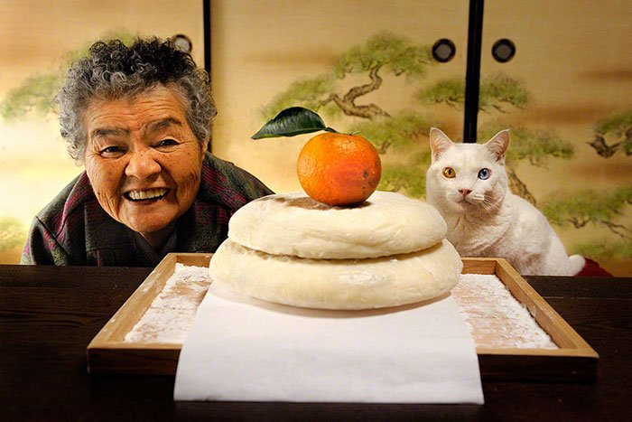 historia-abuela-gato1