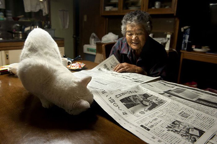 historia-abuela-gato16