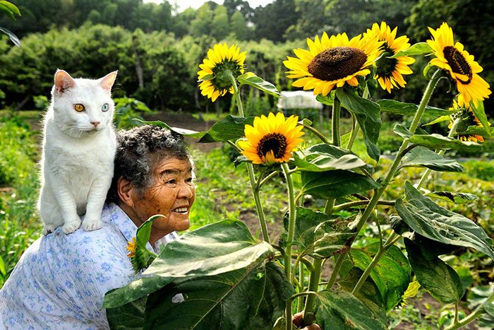 historia-abuela-gato2