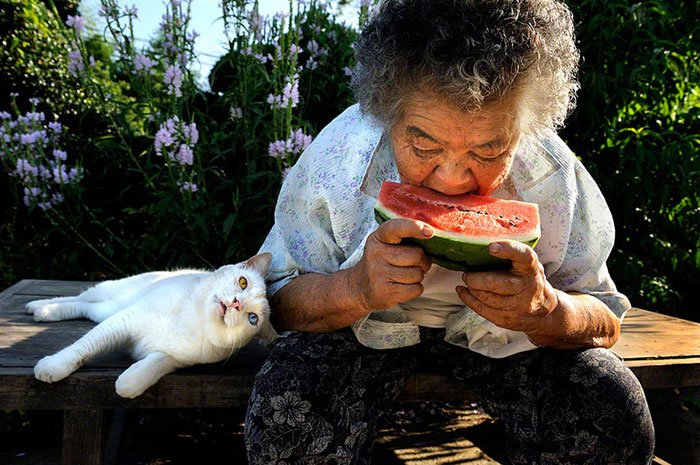historia-abuela-gato3