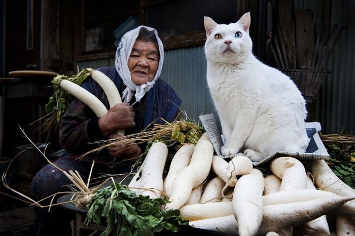 historia-abuela-gato6