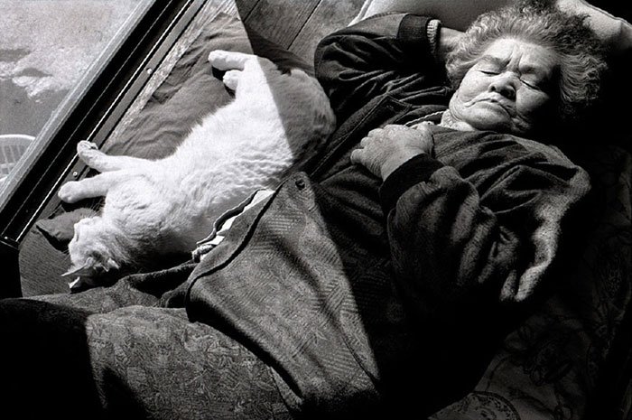 historia-abuela-gato7