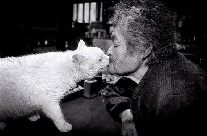 historia-abuela-gato8