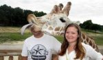 animales y fotografía