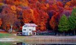 colores otoño
