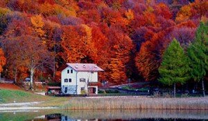 colores otoño