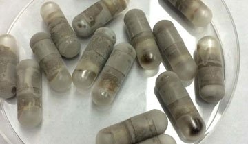 trasplante fecal