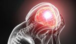Locuras de nuestro cerebro