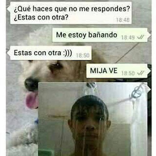 novias-celosas-movil5