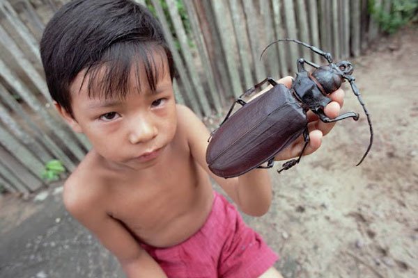bicho-gigante1