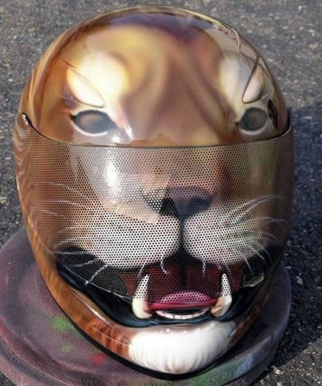 casco-creativo-vistoso3