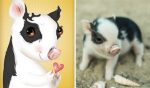 mascotas caricatura