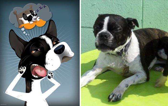 dibujo-personalidad-mascota15