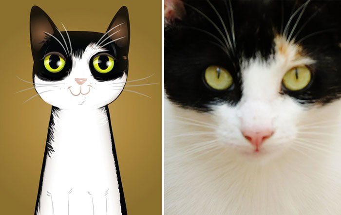 dibujo-personalidad-mascota3