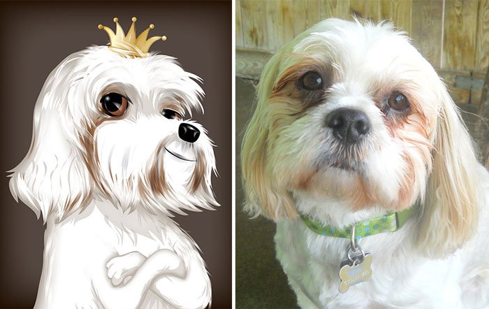 dibujo-personalidad-mascota8