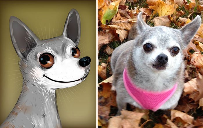 dibujo-personalidad-mascota9