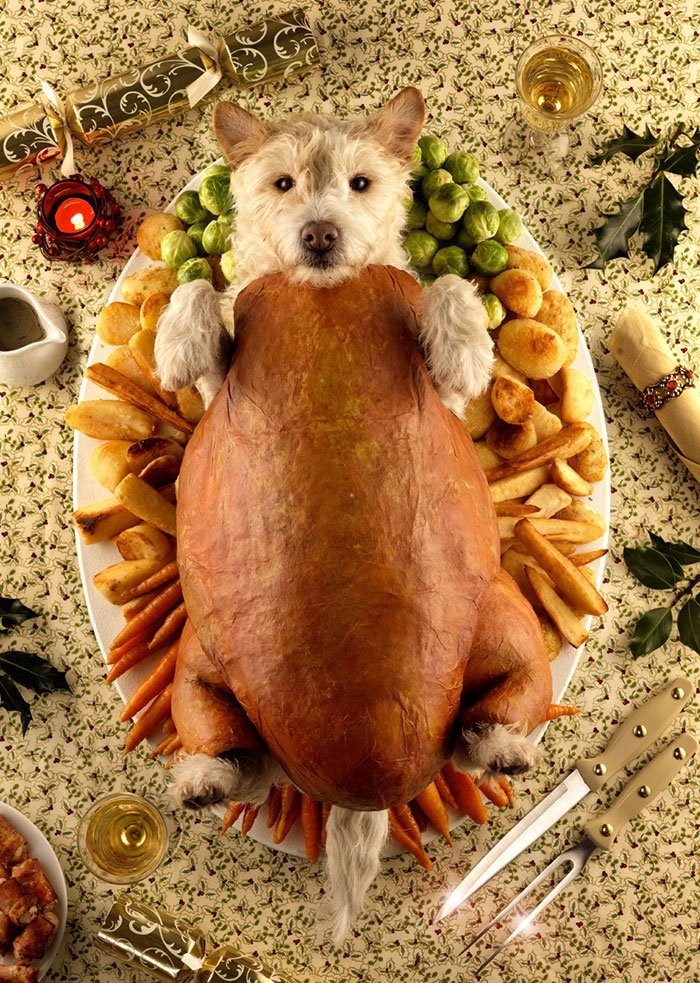 postal-navidad-peter-thorpe5