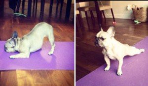 fin de año gimnasio