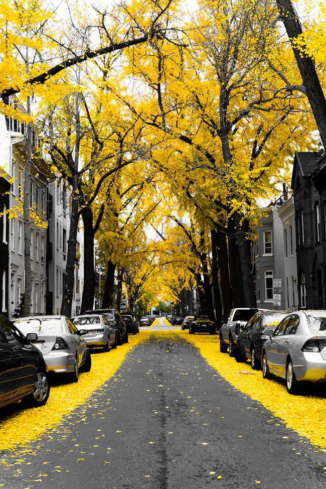 calles-magicas-mundo11