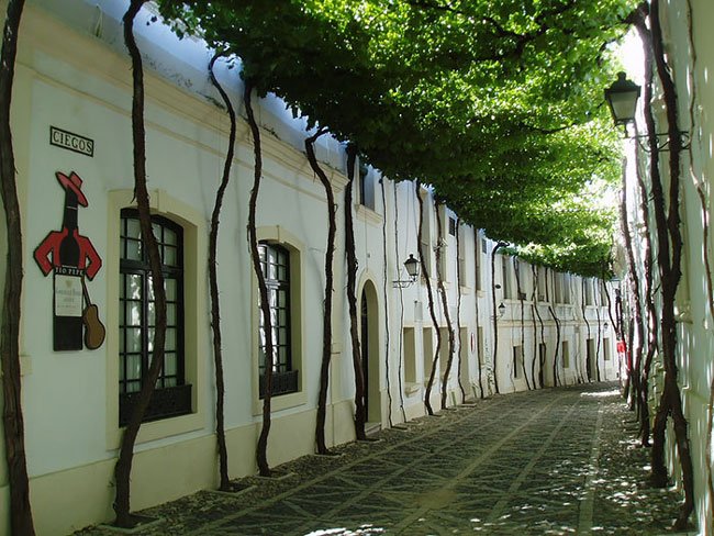 calles-magicas-mundo13