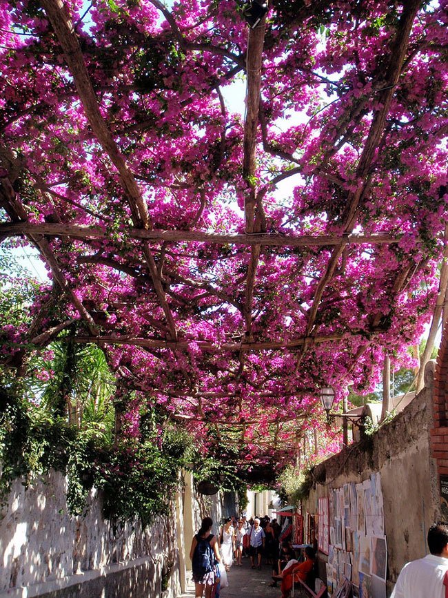 calles-magicas-mundo14