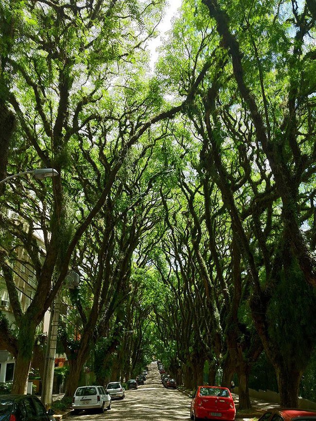calles-magicas-mundo9