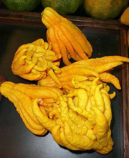 fruta-rara-mundo4
