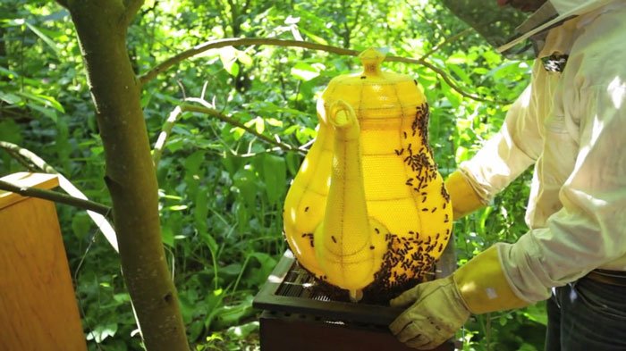 abejas-escultura-tetera2
