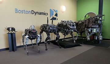 perro robot spot