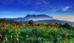 Paisajes de primavera