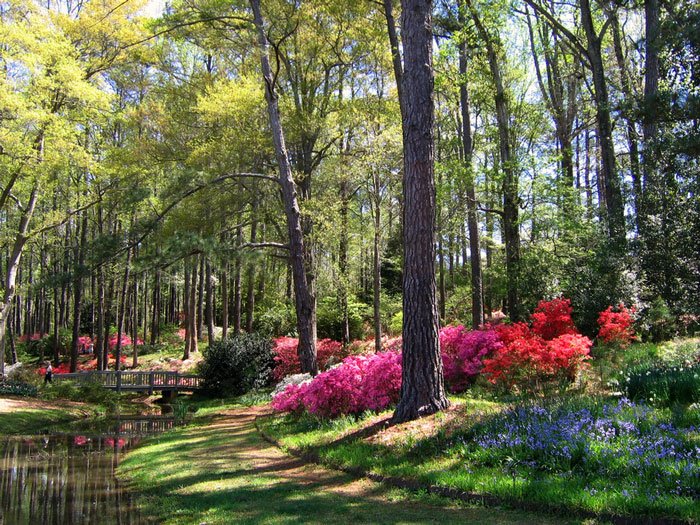 paisajes-coloridos-primavera18
