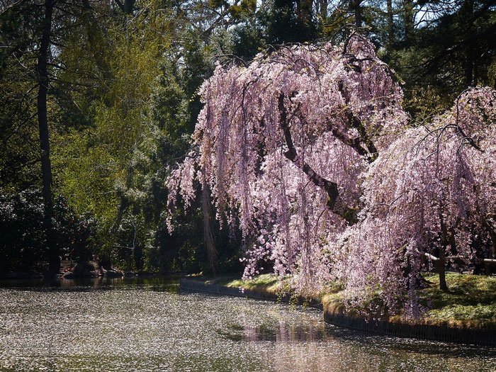 paisajes-coloridos-primavera20