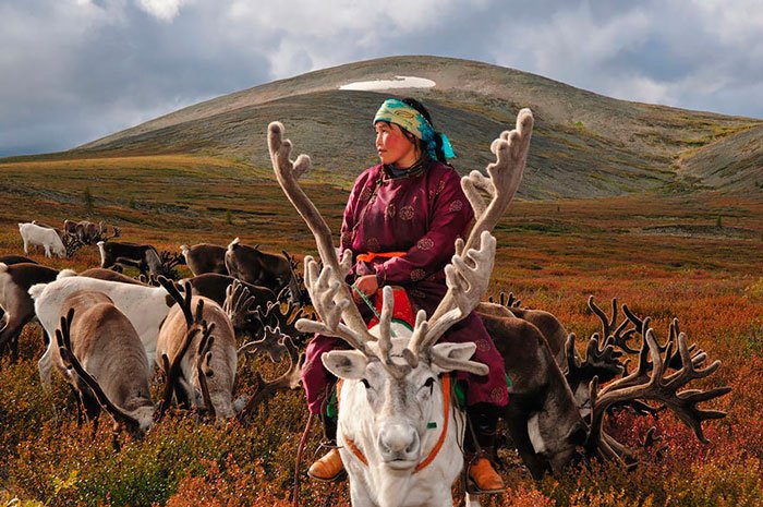 pueblo-reno-mongolia-2