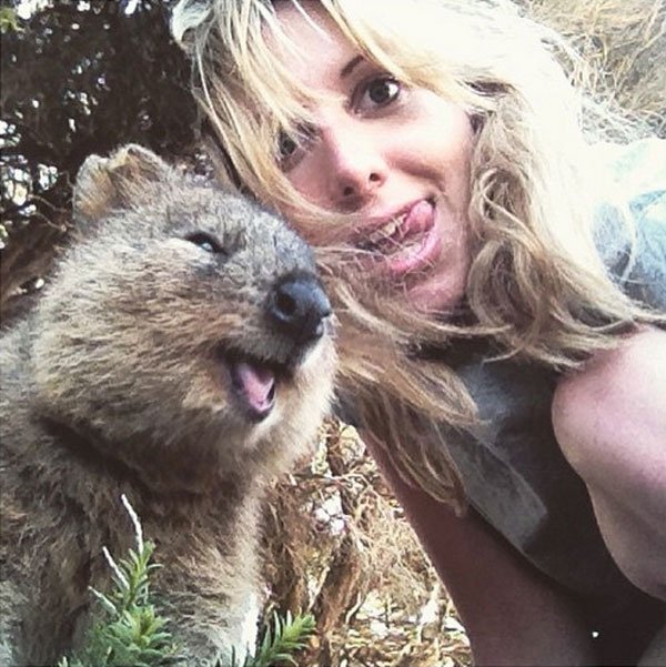 selfies-quokka8