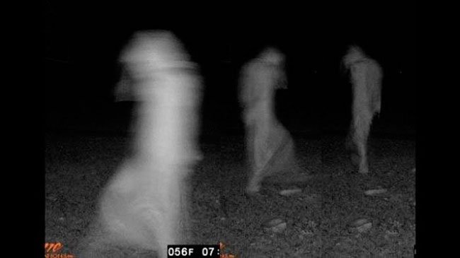 fotos-terrorificas-camaras-fototrampeo-7