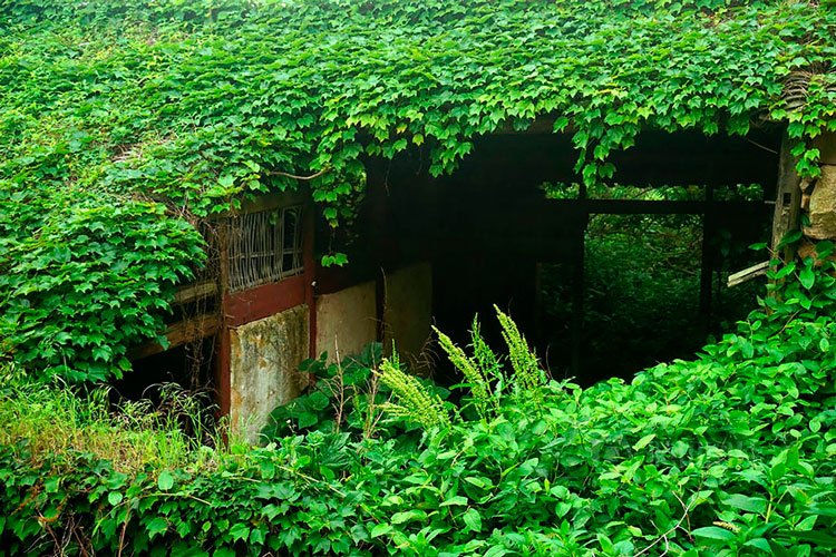pueblo-abandonado-shengsi-5