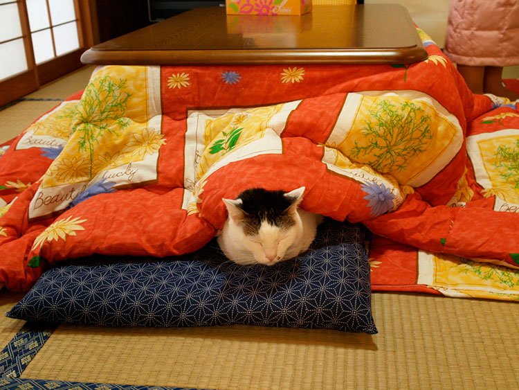 kotatsu-mesa-camilla-8