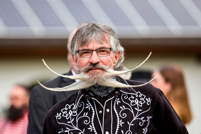 mundial-barbas-bigotes-2015-11
