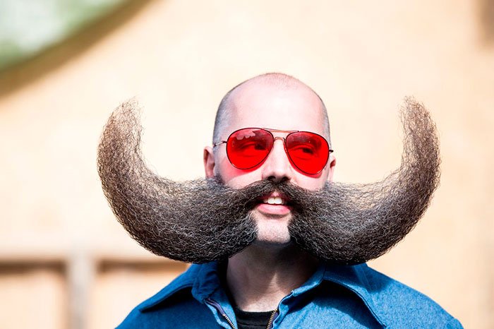 mundial-barbas-bigotes-2015-2