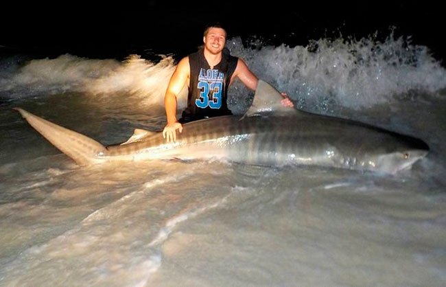 pescar-tiburones-manos-5